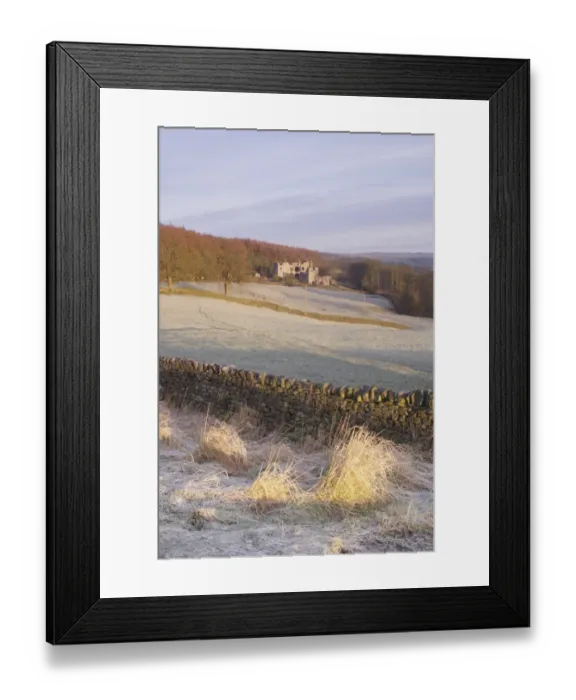 Framed Print : Drystone wall and frosted grasses, with remains of 15th Century hunting lodge in distance, Barden Tower, Barden Framed Print : Drystone wall and frosted grasses, with remains of 15th Century hunting lodge in distance, Barden Tower, Barden