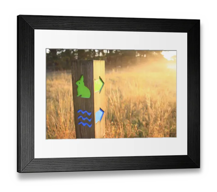 Framed Print : Trail marker in breckland heathland at dawn, Knettishall Heath Country Park, Suffolk, England, october Framed Print : Trail marker in breckland heathland at dawn, Knettishall Heath Country Park, Suffolk, England, october