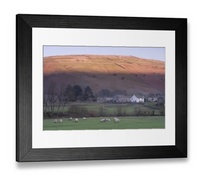 Framed Print : View of evening light on hill summit, with sheep grazing on pasture beside river and village in valley, Buckden Pike Framed Print : View of evening light on hill summit, with sheep grazing on pasture beside river and village in valley, Buckden Pike