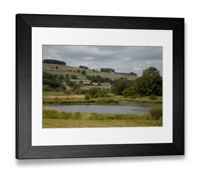 Framed Print : View of wetland habitat and pasture on hillside, Wyver Lane, Derbyshire Wildlife Trust Reserve, Derwent Valley Framed Print : View of wetland habitat and pasture on hillside, Wyver Lane, Derbyshire Wildlife Trust Reserve, Derwent Valley