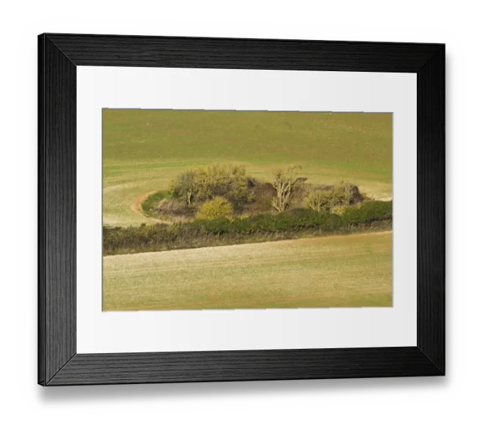 Framed Print : Arable farmland with hedgerow and small woodland habitat at edge of field, Dorset, England, january
