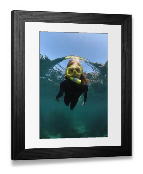 Framed Print : Girl snorkelling over kelp bed, Porthnaven, Cornwall, England, september Framed Print : Girl snorkelling over kelp bed, Porthnaven, Cornwall, England, september