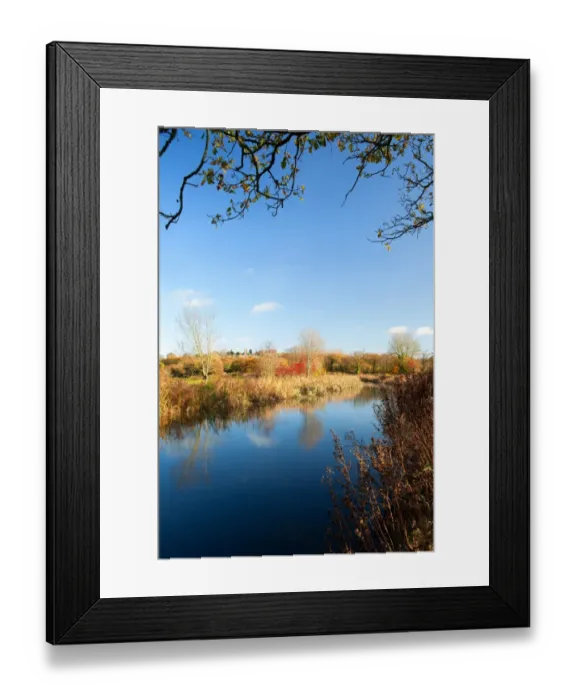 Framed Print : View along canal, Tiverton Canal, Grand Western Canal, Tiverton, Devon, England, november Framed Print : View along canal, Tiverton Canal, Grand Western Canal, Tiverton, Devon, England, november
