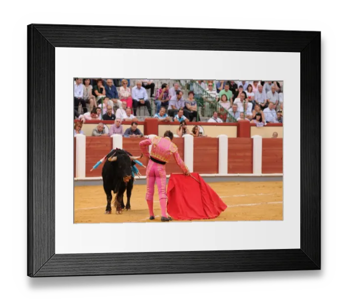 Framed Print : Bullfighting, Matador with muleta and sword, fighting bull impaled with banderillas in bullring Framed Print : Bullfighting, Matador with muleta and sword, fighting bull impaled with banderillas in bullring