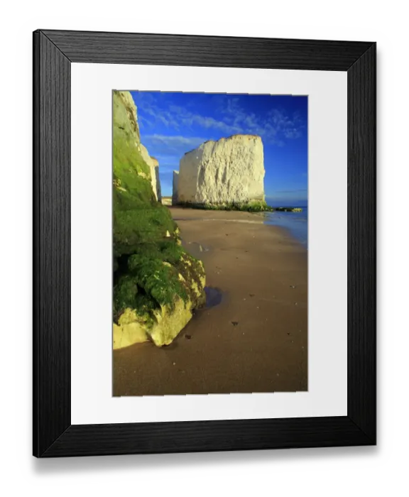 Framed Print : View of sandy beach and chalk sea stacks, Botany Bay, Kent, England, may