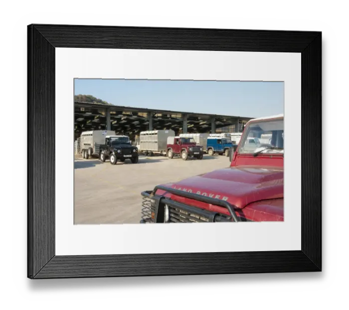 Framed Print : Land Rover 4x4 vehicles and livestock trailers at livestock market, Welshpool Livestock Market, Powys, Wales, september Framed Print : Land Rover 4x4 vehicles and livestock trailers at livestock market, Welshpool Livestock Market, Powys, Wales, september