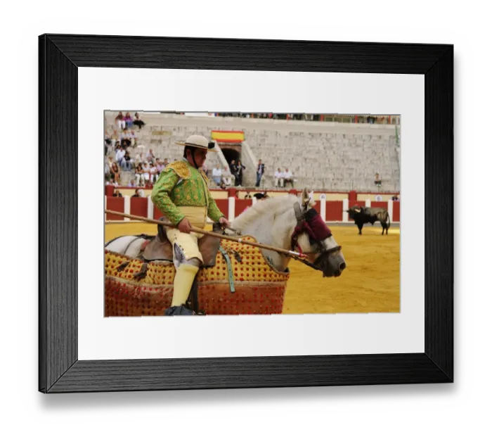 Framed Print : Bullfighting, Picador with lance, mounted on horse with Peto protection, fighting bull in bullring Framed Print : Bullfighting, Picador with lance, mounted on horse with Peto protection, fighting bull in bullring