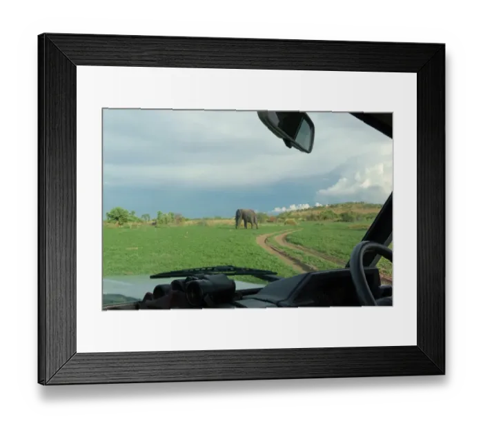 Framed Print : View through safari vehicle windscreen towards African Elaphant (Loxodonta africana), Okavango Delta, Botswana Framed Print : View through safari vehicle windscreen towards African Elaphant (Loxodonta africana), Okavango Delta, Botswana