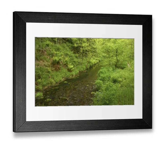 Framed Print : River flowing through woodland habitat, River Lyd, Lydford Gorge, Dartmoor N. P. Devon, England Framed Print : River flowing through woodland habitat, River Lyd, Lydford Gorge, Dartmoor N. P. Devon, England