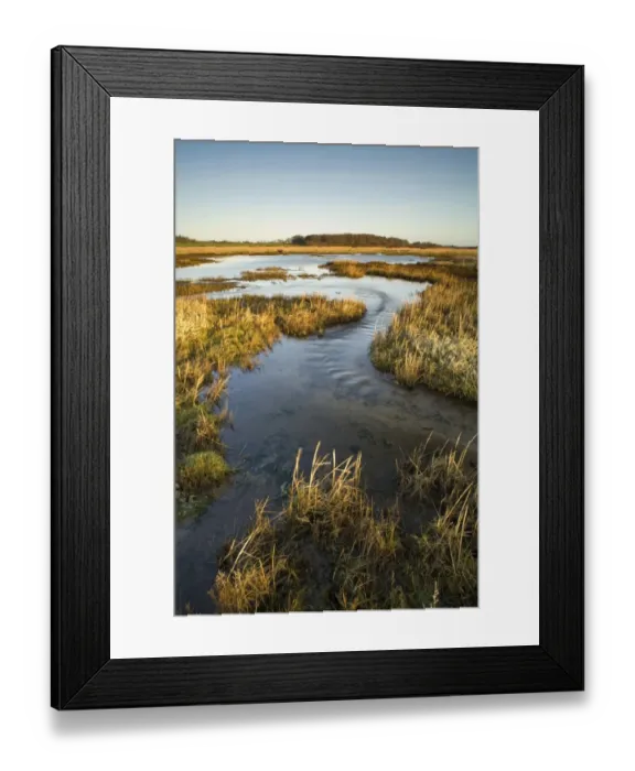 Framed Print : View of coastal freshwater wetland habitat, Dingle Marshes Reserve, Suffolk, England, january Framed Print : View of coastal freshwater wetland habitat, Dingle Marshes Reserve, Suffolk, England, january