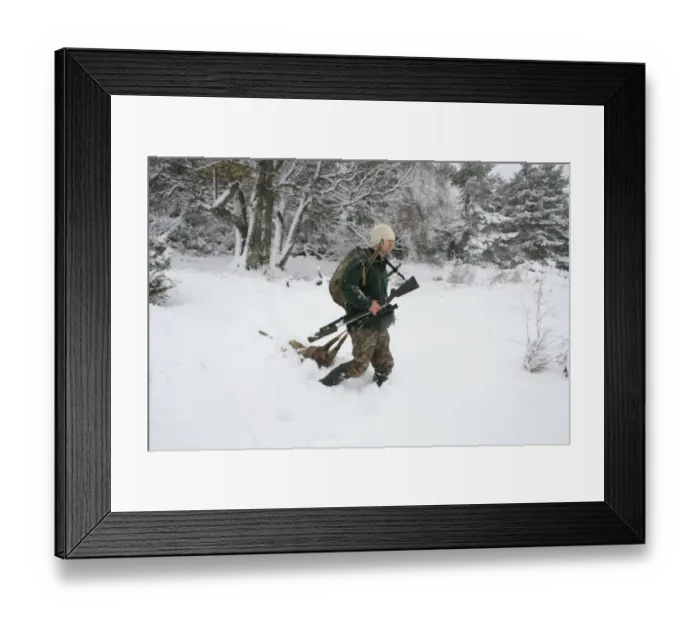 Framed Print : Deer stalker walking in snow with shot Western Roe Deer, (Capreolus capreolus), deer management on reserve Framed Print : Deer stalker walking in snow with shot Western Roe Deer, (Capreolus capreolus), deer management on reserve