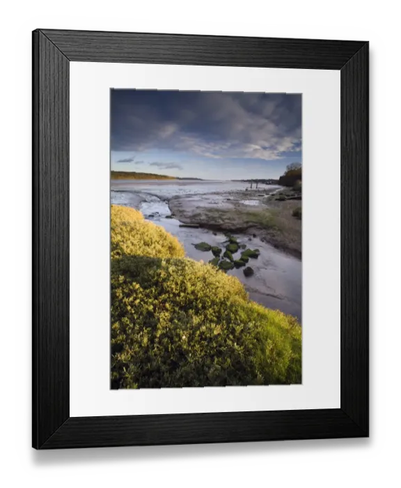 Framed Print : View of river estuary at low tide, looking towards coast, River Orwell, Orwell Estuary, Suffolk, England, december