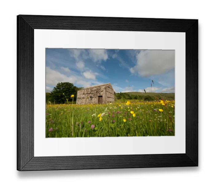 Framed Print : View of stone barn in wildflower meadow, Muker, Swaledale, Yorkshire Dales N. P. North Yorkshire, England, june