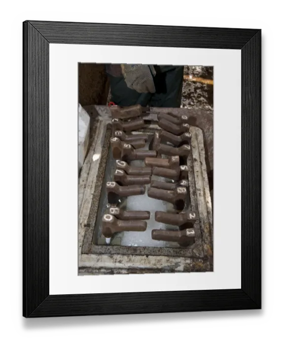 Framed Print : Dairy farming, brands for freeze branding dairy heifers, Scotland, april Framed Print : Dairy farming, brands for freeze branding dairy heifers, Scotland, april