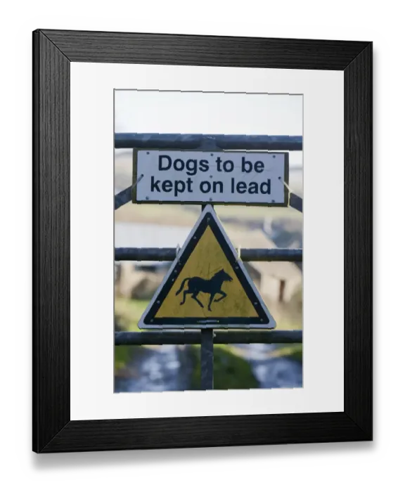 Framed Print : Dogs to be kept on lead and Wild horses or ponies warning signs on farm gate, Pembrokeshire, Wales, january Framed Print : Dogs to be kept on lead and Wild horses or ponies warning signs on farm gate, Pembrokeshire, Wales, january