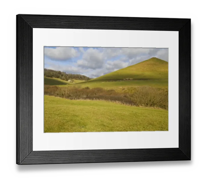 Framed Print : View of hilly rural landscape, with distant cattle herd in grassland habitat on coastal farmland, near Chapmans Pool Framed Print : View of hilly rural landscape, with distant cattle herd in grassland habitat on coastal farmland, near Chapmans Pool