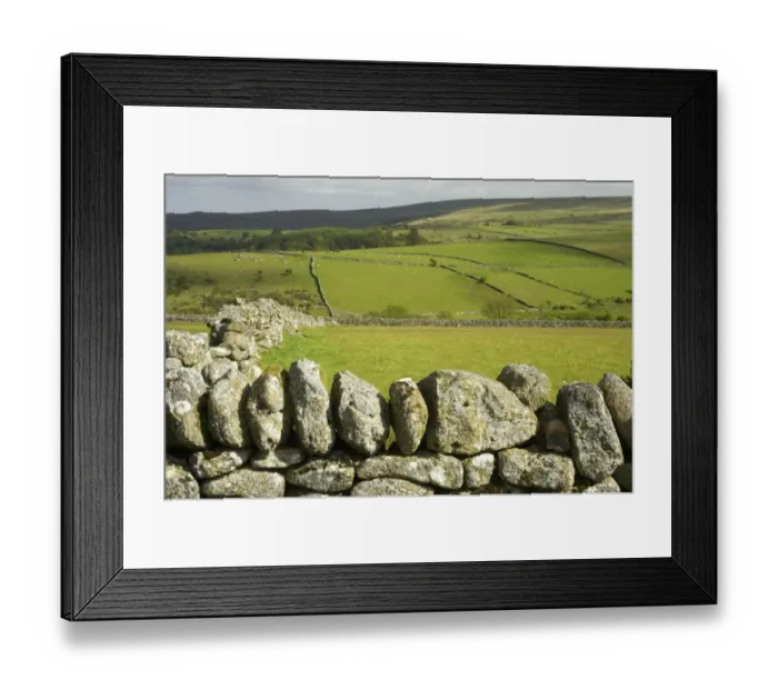 Framed Print : Drystone walls and pasture in fertile valley, with moorland habitat on hills, Princetown area, Dartmoor N. P Framed Print : Drystone walls and pasture in fertile valley, with moorland habitat on hills, Princetown area, Dartmoor N. P