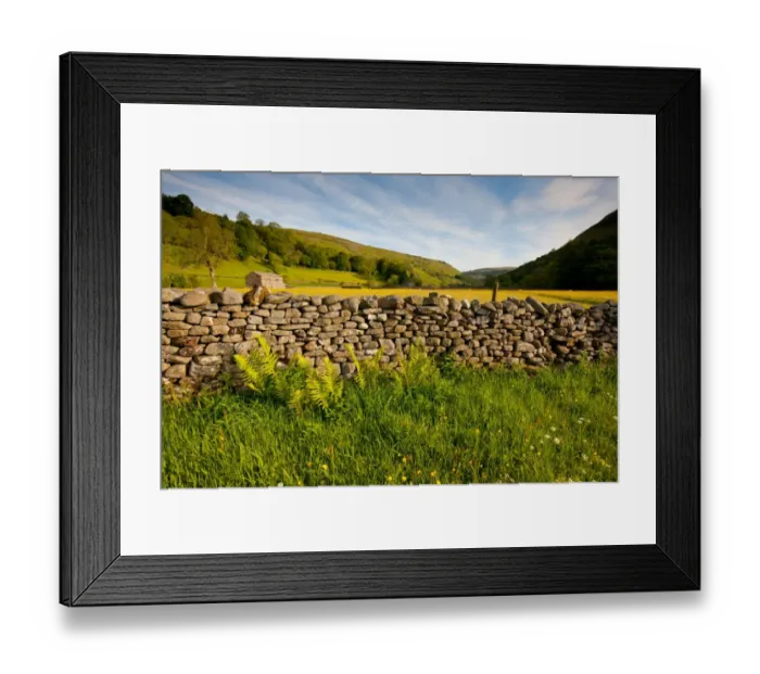 Framed Print : Drystone wall at edge of wildflower meadow, Muker, Swaledale, Yorkshire Dales N. P. North Yorkshire, England, june
