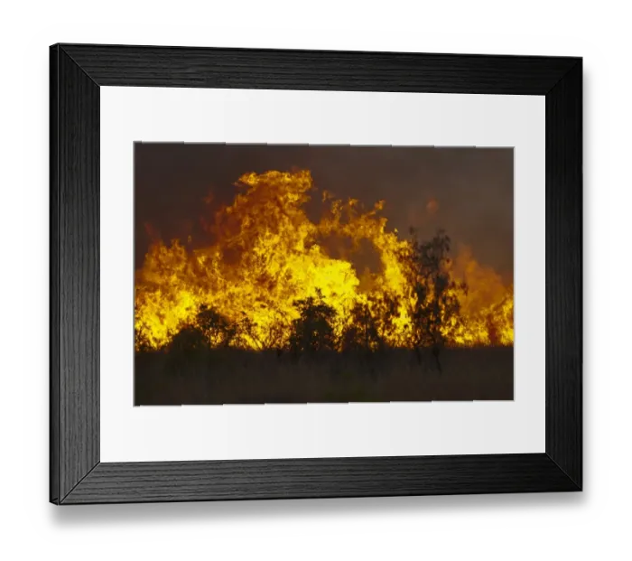 Framed Print : Flames of burning bush fire, near Charters Towers, Queensland, Australia Framed Print : Flames of burning bush fire, near Charters Towers, Queensland, Australia