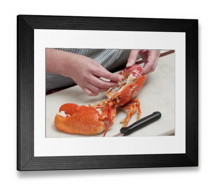 Framed Print : Person preparing cooked lobster, Norfolk, England, july