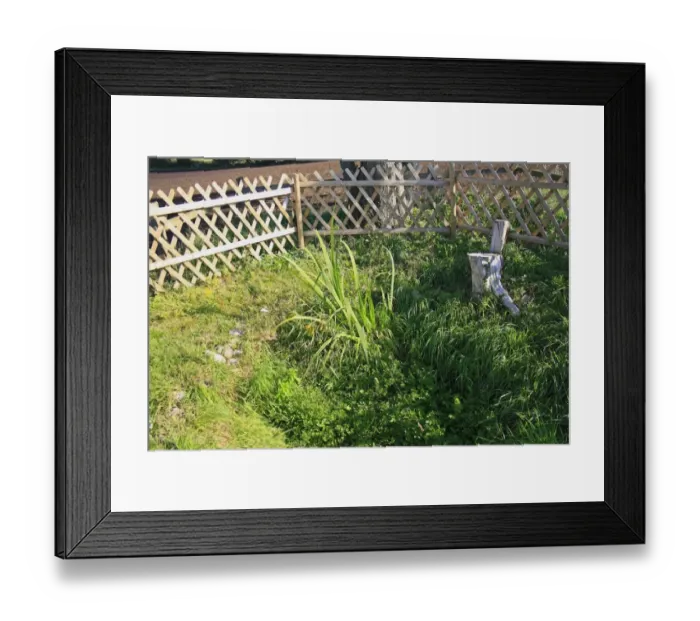 Framed Print : Holy well or sacred spring, St. Marys Well, Hinderclay, Suffolk, England, september