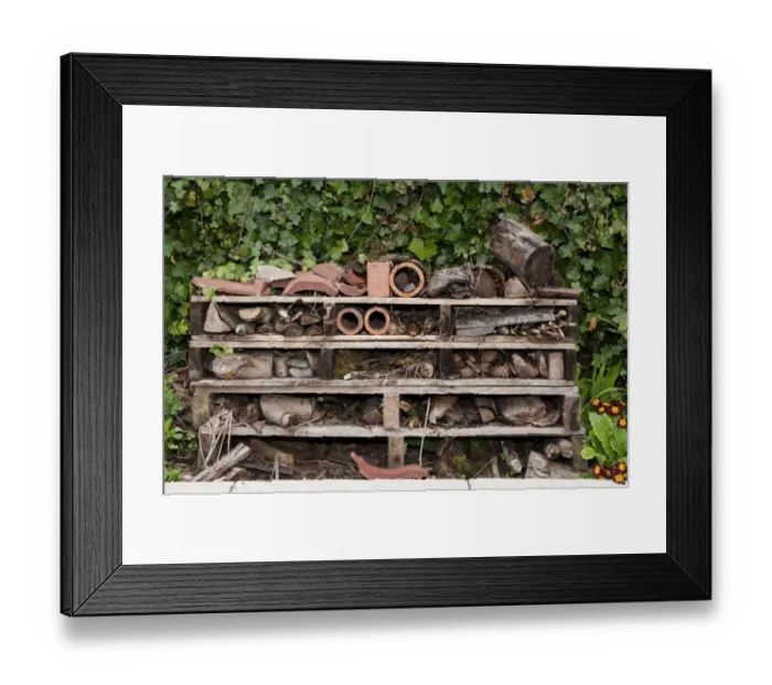 Framed Print : Insect Hotel habitat creation on primary school premises, Cumbria, England, may Framed Print : Insect Hotel habitat creation on primary school premises, Cumbria, England, may