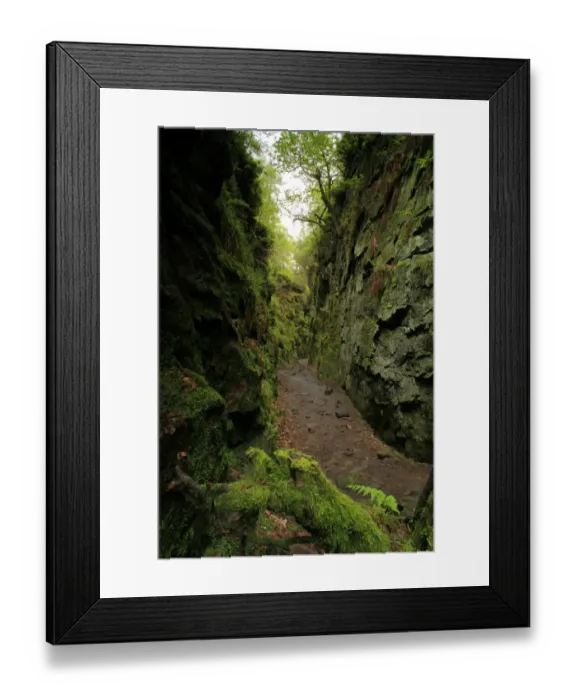 Framed Print : View of deep chasm created by massive landslip on hillside, Luds Church, Black Forest, White Peak, Peak District Framed Print : View of deep chasm created by massive landslip on hillside, Luds Church, Black Forest, White Peak, Peak District