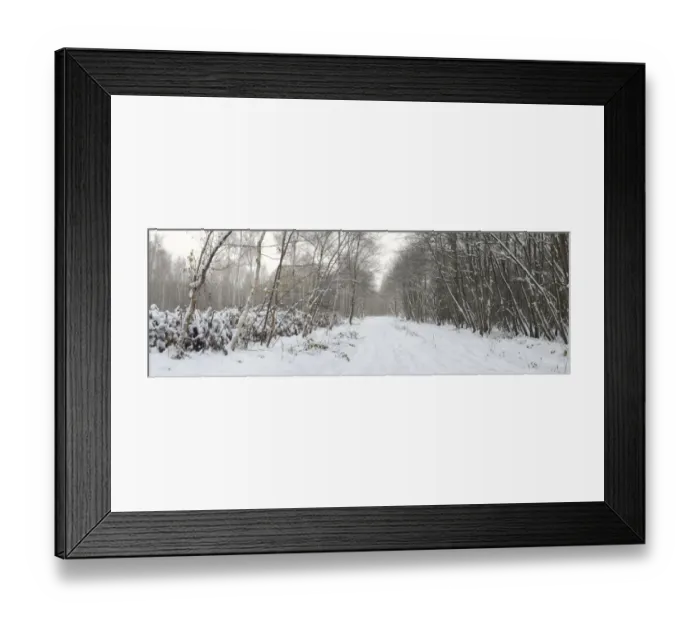 Framed Print : Track through snow covered coppice woodland habitat, Cromers Wood Nature Reserve, Kent Wildlife Trust, Kent, England Framed Print : Track through snow covered coppice woodland habitat, Cromers Wood Nature Reserve, Kent Wildlife Trust, Kent, England