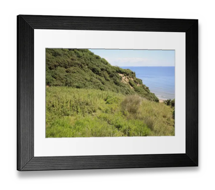 Framed Print : Vegetated gulley of slumped sea cliff, Whitecliff Bay, Isle of Wight, England, june