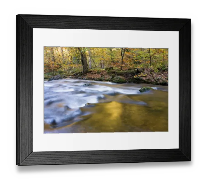 Framed Print : River flowing through woodland habitat in late afternoon, East Lyn River, Barton Woods, near Watersmeet, North Devon Framed Print : River flowing through woodland habitat in late afternoon, East Lyn River, Barton Woods, near Watersmeet, North Devon