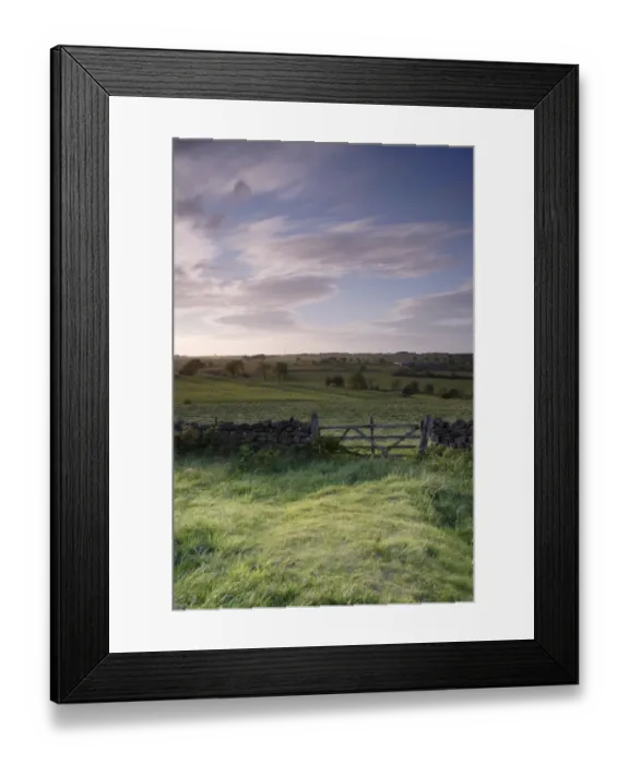 Framed Print : View of gate, drystone wall and pasture with sheep flock in evening light, North Rigton, North Yorkshire, England, may