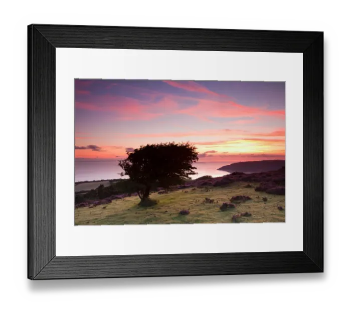 Framed Print : View of coastline at sunrise, with Porlock Bay and pebble ridge just visible in distance, Hurlstone Point