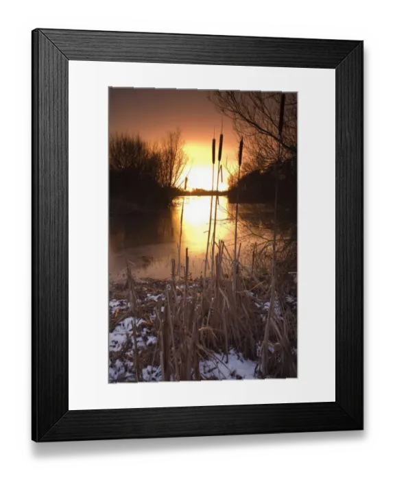 Framed Print : Sunset over reservoir with reedmace on snow covered bank, Alton Water, Suffolk, England, january Framed Print : Sunset over reservoir with reedmace on snow covered bank, Alton Water, Suffolk, England, january