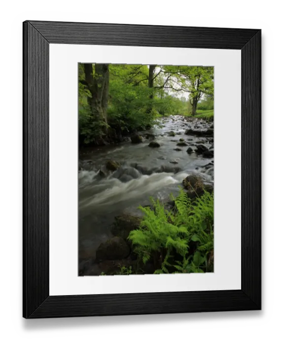 Framed Print : Fast-flowing river in woodland habitat, River Dane, Gradbach, Staffordshire, England, may Framed Print : Fast-flowing river in woodland habitat, River Dane, Gradbach, Staffordshire, England, may