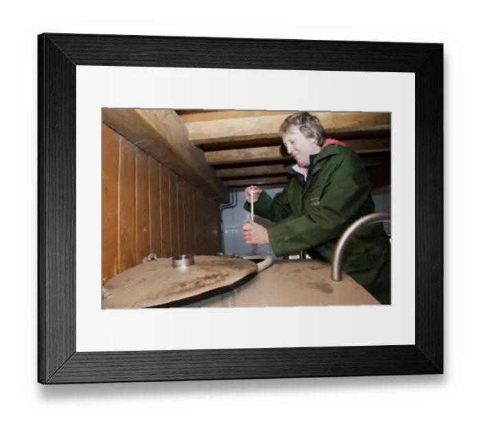 Framed Print : Dairy farming, woman from National Milk Records taking sample from bulk milk tank, England, may Framed Print : Dairy farming, woman from National Milk Records taking sample from bulk milk tank, England, may