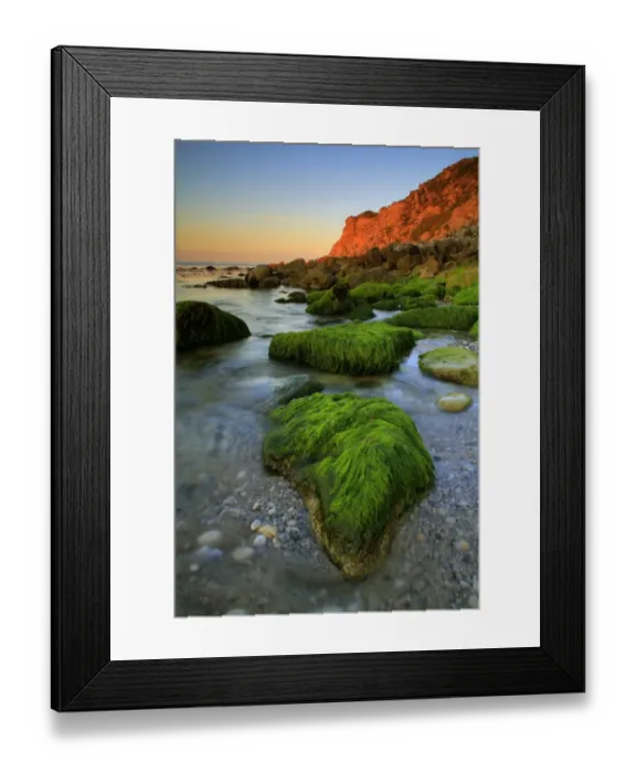 Framed Print : Seaweed covered rocks on beach at sunrise, Church Ope Cove, Isle of Portland, Dorset, England, july Framed Print : Seaweed covered rocks on beach at sunrise, Church Ope Cove, Isle of Portland, Dorset, England, july