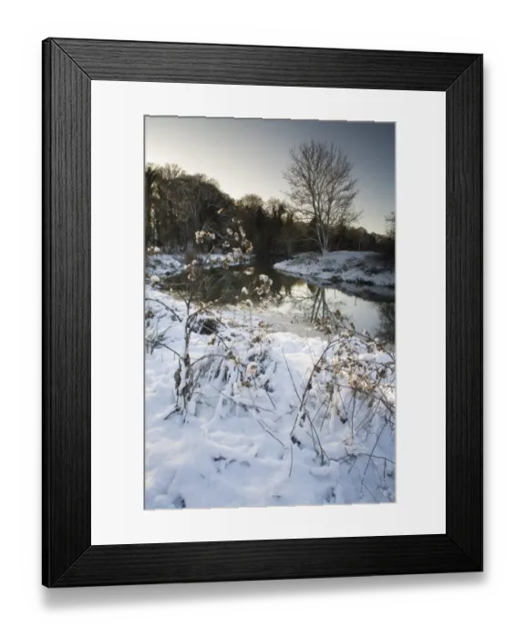 Framed Print : View of snow covered riverbank, River Gipping, Bramford, Suffolk, England, december Framed Print : View of snow covered riverbank, River Gipping, Bramford, Suffolk, England, december