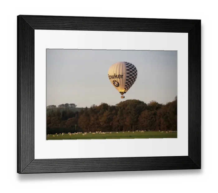 Framed Print : Ballooning, hot-air balloon over farmland with sheep flock, Whitewell, Clitheroe, Lancashire, England, september Framed Print : Ballooning, hot-air balloon over farmland with sheep flock, Whitewell, Clitheroe, Lancashire, England, september