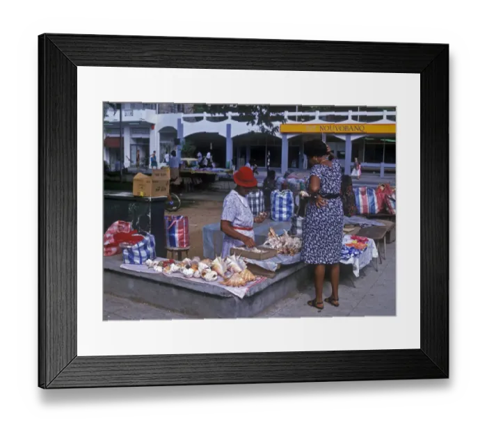 Framed Print : Animal By-Products Sea shell products for sale in a street market, Victoria, Mahe Framed Print : Animal By-Products Sea shell products for sale in a street market, Victoria, Mahe
