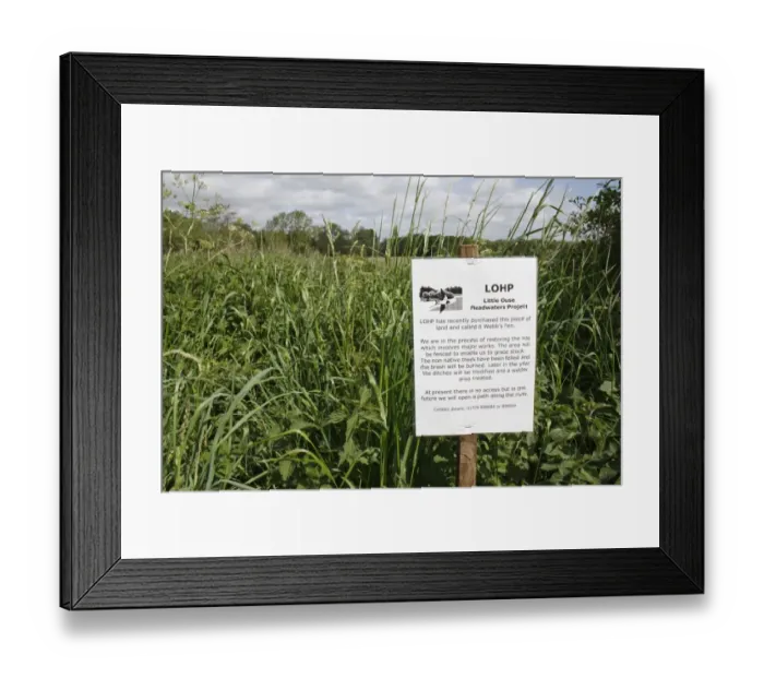 Framed Print : Information sign at recently purchased land for fen habitat restoration project, Little Ouse Headwaters Project Framed Print : Information sign at recently purchased land for fen habitat restoration project, Little Ouse Headwaters Project