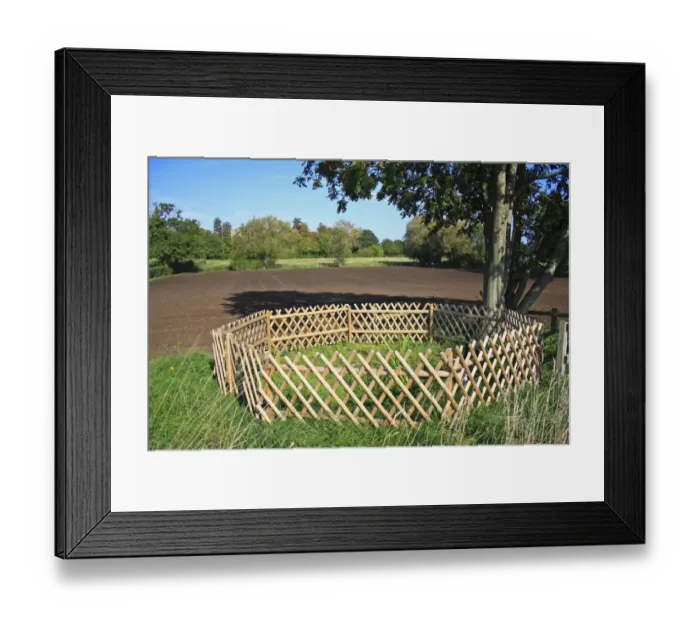 Framed Print : Holy well or sacred spring rising at edge of cultivated arable field, St. Marys Well, Hinderclay, Suffolk, England Framed Print : Holy well or sacred spring rising at edge of cultivated arable field, St. Marys Well, Hinderclay, Suffolk, England
