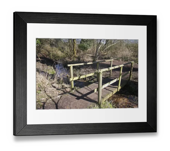 Framed Print : Wooden footbridge over stream in deciduous woodland habitat, Lackford Lakes Nature Reserve, Suffolk, England, march Framed Print : Wooden footbridge over stream in deciduous woodland habitat, Lackford Lakes Nature Reserve, Suffolk, England, march