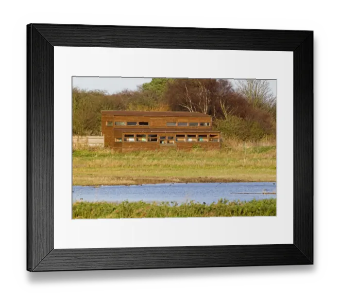 Framed Print : View from West Hide across scrape towards North Hide, Minsmere RSPB Reserve, Suffolk, England, november Framed Print : View from West Hide across scrape towards North Hide, Minsmere RSPB Reserve, Suffolk, England, november