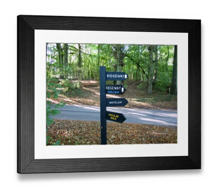 Framed Print : Ridgeway, Whiteleaf and Circular Walk signs on signpost, Giles Wood, Whiteleaf Hill Nature Reserve, Chilterns Framed Print : Ridgeway, Whiteleaf and Circular Walk signs on signpost, Giles Wood, Whiteleaf Hill Nature Reserve, Chilterns