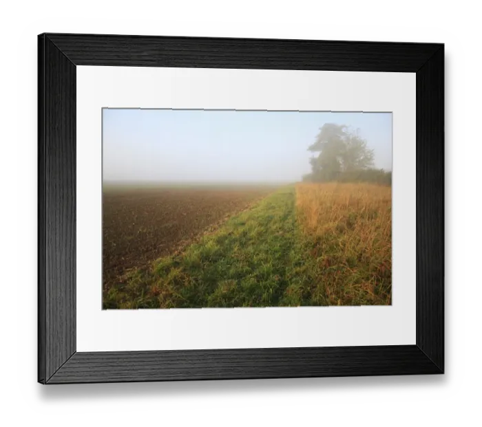 Framed Print : Headland strip between permanent set-a-side and cultivated arable field in mist at dawn, Bacton, Suffolk, England Framed Print : Headland strip between permanent set-a-side and cultivated arable field in mist at dawn, Bacton, Suffolk, England