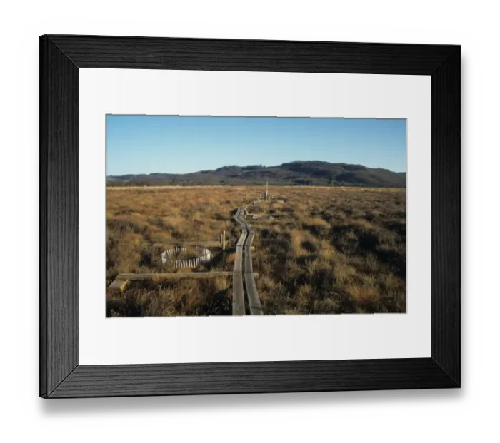 Framed Print : Lowland raised mire habitat with site for monitoring effects of CO2 levels ( Greenhouse Effect ) Framed Print : Lowland raised mire habitat with site for monitoring effects of CO2 levels ( Greenhouse Effect )