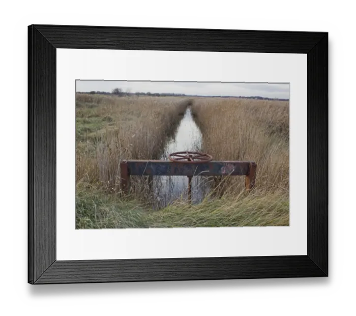 Framed Print : Sluice gate in reedbed dyke, Minsmere RSPB Reserve, Suffolk, England, november Framed Print : Sluice gate in reedbed dyke, Minsmere RSPB Reserve, Suffolk, England, november