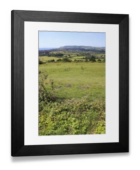 Framed Print : View of chalk downland habitat, Bullys Hill, Brading Down, Isle of Wight, England, june Framed Print : View of chalk downland habitat, Bullys Hill, Brading Down, Isle of Wight, England, june