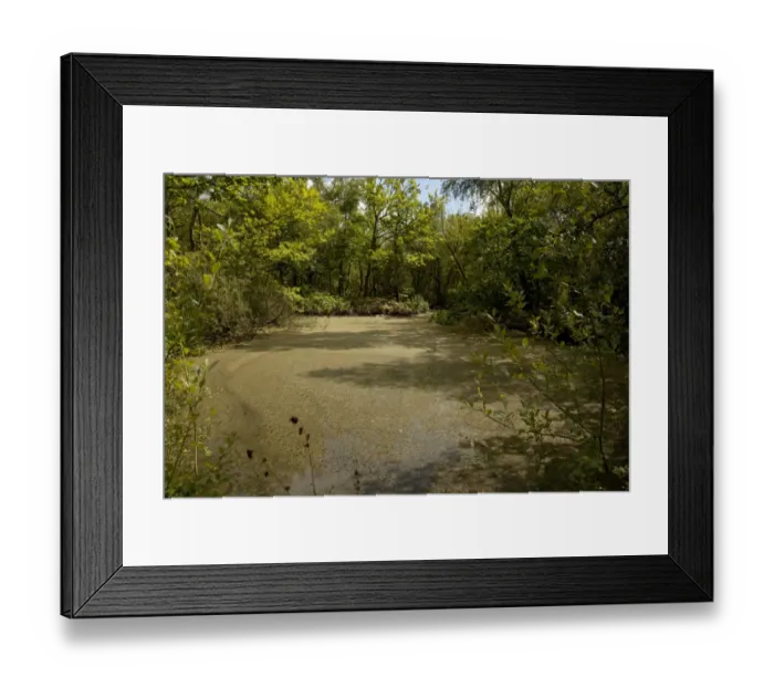 Framed Print : View of pond in flooded former clay pit, Morley Brickyards, Derbyshire Wildlife Trust Reserve, Derbyshire, England Framed Print : View of pond in flooded former clay pit, Morley Brickyards, Derbyshire Wildlife Trust Reserve, Derbyshire, England