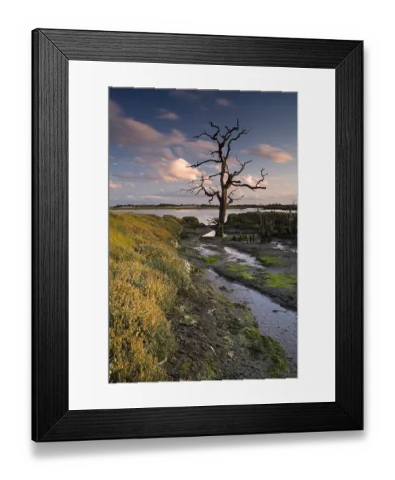 Framed Print : View of wetland habitat at sunset, created to mitigate against loss of Fagbury mudflats as result of expansion of Port